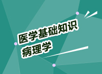 事業(yè)單位考試醫(yī)療基礎(chǔ)知識講座之病理學